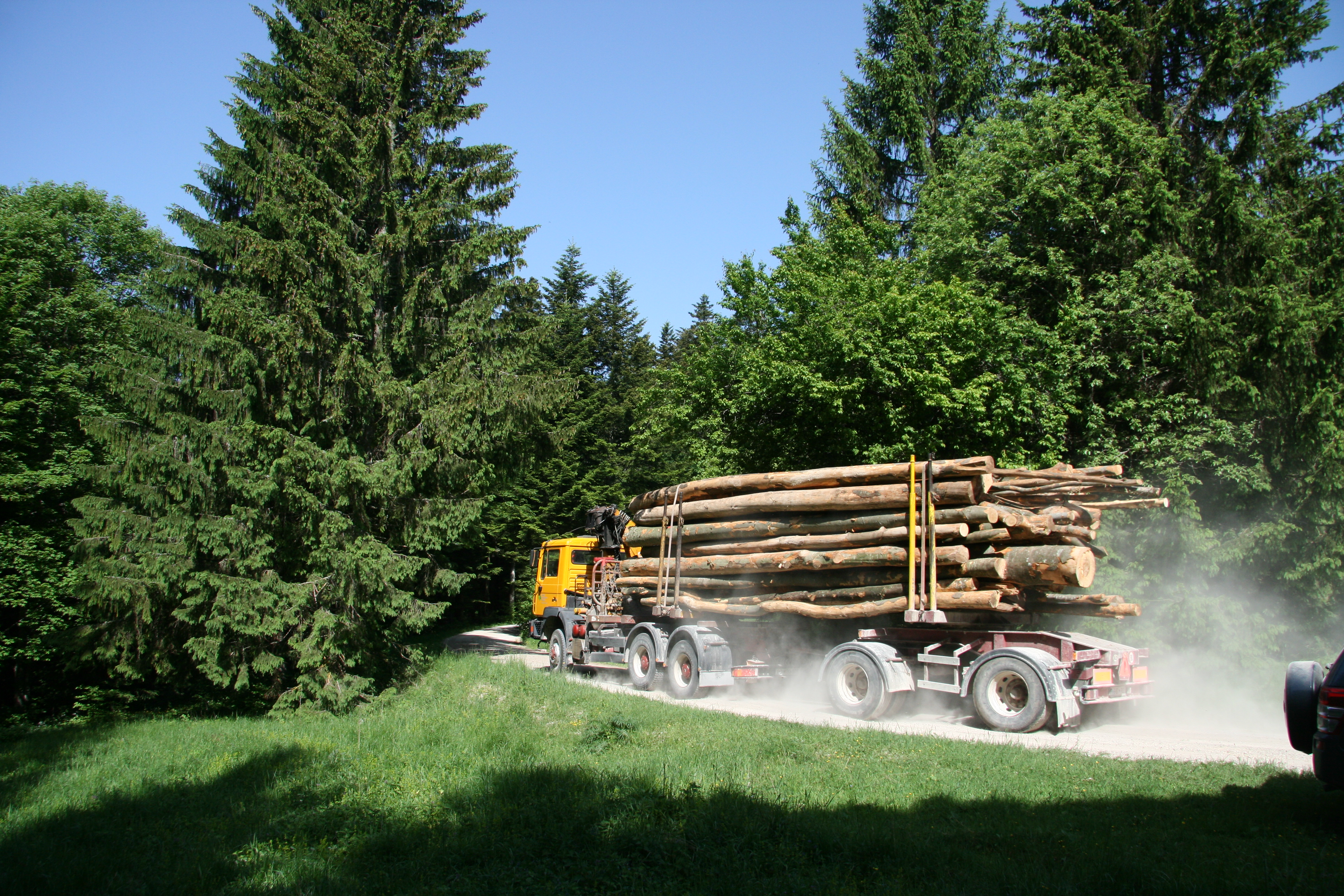 photo of a lumber truck
